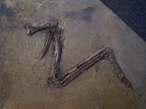 Vogel Fluegel, Grube Messel
