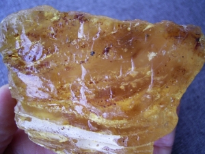 Golden copal from Indonesia