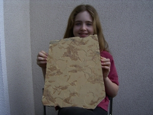 Fisch Schwarm Gosiutichthys parvus