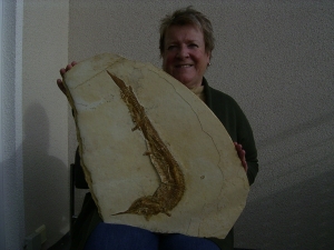 Schnabelfisch Aspidorhynchus