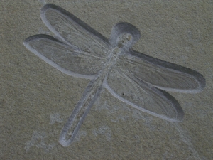Libelle aus Solnhofen