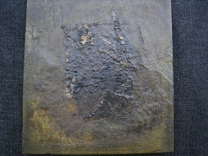 Fledermaus Grube Messel