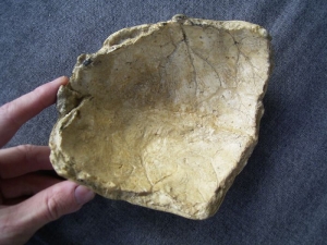 Neandertaler-Schädelkalotte aus Ochtendung