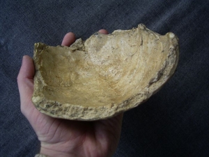 Neandertal skull cap from Ochtendung, Germany