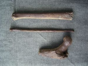 Verschiedene Knochen von Australopithecus africanus