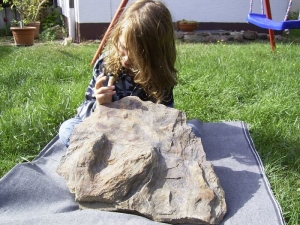 Iguanodon footprint