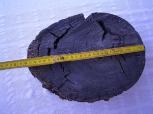8000 years old pice of oak from the bog