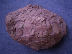 Dinosaur egg from France