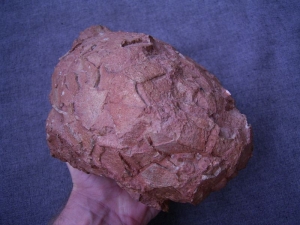 Dinosaur egg from France