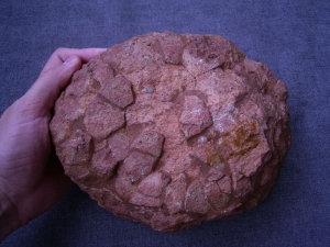 Dinosaur egg from France