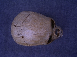 Juvenile Nenderthalensis skull of Tesik-Tas