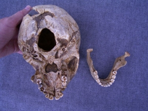 Juvenile Nenderthalensis skull of Tesik-Tas
