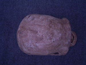 Skull Homo Heidelbergensis (Reconstruction)