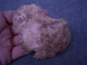 Homo Neanderthalensis Sarstedt II